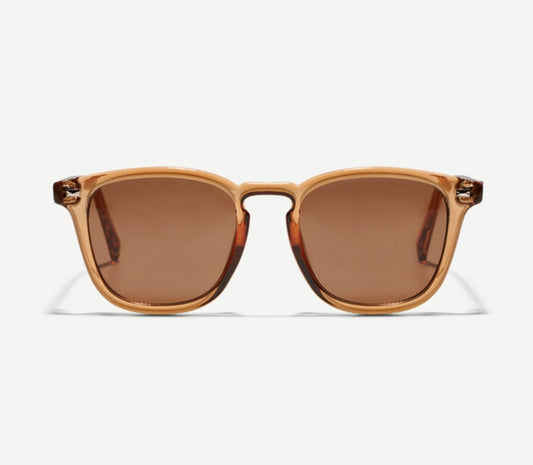 Quinn Sunglasses - Transparent Chocolate